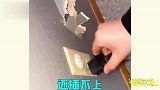 本事不大，脾气不小，你们的操作真是个狠人
