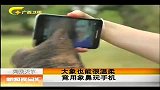 新闻夜总汇-20120403-大象也能很温柔.竟用象鼻玩手机