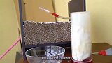 一次性抽一千根香烟会怎样？新鲜猪肉测试，猪肉：我怎么成腊肉了