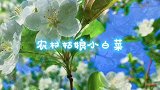 不想借钱给别人，又能不得罪人，农村姑娘教你4套说辞