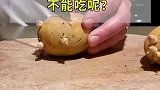 为什么发芽的土豆不能吃，难不成真的有毒吗？