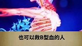 你是什么血型呢