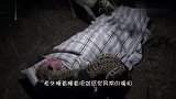 一老外独自野营，半夜感觉异常暖和，我还是闭上眼睛吧