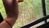 这个烟灰缸怕是有点贵哦
