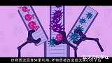 每个人身上都有排毒利器，做好这三点百毒不侵！