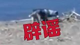 黑龙江：官方通报齐齐哈尔疑发现野狼：部分视频非当地