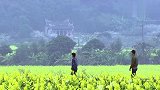 我家有喜：29年后母女终于相认，母亲却时日无多！木喜瞬间崩溃