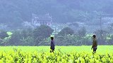 我家有喜：29年后母女终于相认，母亲却时日无多！木喜瞬间崩溃