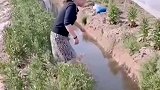 小姐姐有点倒霉啊