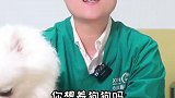 快来看看哪些狗狗不适合新手养吧！