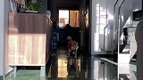鬼畜踩点的招财财，左看右看怎么看都是那个一如既往的小可爱呀