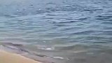 越野车将SUV拖上岸，打开车门海水瞬间流出