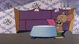 猫咪太搞笑了，下秒真是有趣，太有意思了