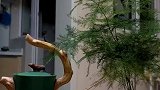 女子想拍氛围感的视频，不料成就另一氛围