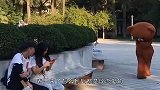 网红熊，你这是非要让我笑岔气了才心甘啊！