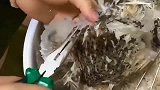这是啥 我想知道