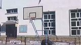 鸬鹚长喙插进墙里，被救下后已经身亡