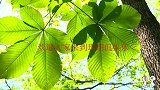 我家的熊孩子：俊贤带来了皮肉，金钟国一脸懵逼