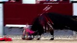 这是什么奇葩斗牛？几十个男人躲在木桩后面，不断挑衅公牛！