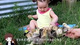 小鸡在宝宝身上拉粑粑，接下来请注意宝宝的反应，看一次笑一次