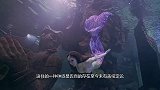 世界最“强”水族馆，水箱中养一条“美人鱼”，无数游客流连忘返