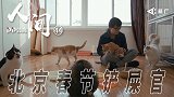 《人间》-日薪三千上门撸别人家的猫 她是北京春节职业铲屎官