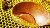 这才是正宗无任何添加的蜂蜜，美容养颜，你吃过这样的蜂蜜吗？