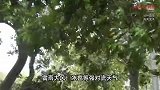 葬礼上墙体倒塌致3死，女子：围墙属废弃房屋，父亲和弟弟死亡