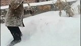 辽宁锦州大暴雪持续一整夜，牛棚倒塌，学校停课，雪还在持续