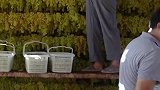 在吐鲁番发现一村庄都是透气房子，是因为太热了吗