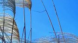 2020年的期许，愿我们被岁月温柔以待