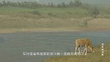 小孩在河边放羊发现青铜器，专家赶来发掘，出土文物堪称国宝