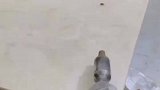 激光打苍蝇，真是高手