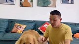 终于知道四毛坑我的精力从哪来了？