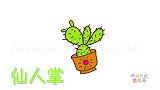 植物简笔画大全，画仙人掌简笔画