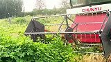 收割机最怕干这样的活