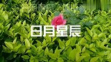 男人要想翻身应该记住这几点