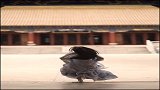 长安尽头无故里，故里至此别长安