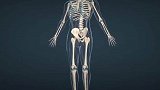 成年人共有206块骨头，但为什么大多数亚洲人只有204块