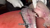 福建泉州鱼卷｜用深海马鲛鱼现刮现做鲜嫩Q弹