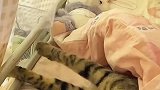 女生睡醒发现床上多了一只猫