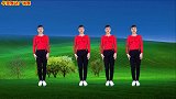 一首网红新歌《想你了小哥哥》时尚版32步附背面动作教学