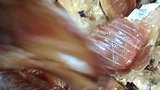 风干鱼腩，味道美极了
