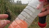 自制窝料打窝，金黄大鲫鱼一条接一条，太过瘾了