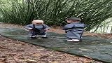 两个小和尚下山了，接下来一幕，真是太逗了，网友：心都融化了