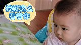 九个月宝宝咋看哥哥下棋，把哥哥气哭了，妈妈笑岔气了