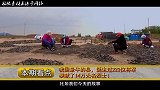 村民挖井30多米深却不出水，专家赶到后，发现地下有千年大工程