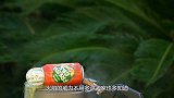 -200℃液氮遇上烈火谁更厉害？老外用锁测试，结果大开眼界！