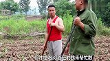 四川方言剧：农村小伙雇人栽芝麻，真的太搞笑了