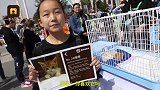 流浪动物集体领养,铲屎官护它一生